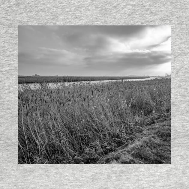 The River Yare in Acle, Norfolk by yackers1